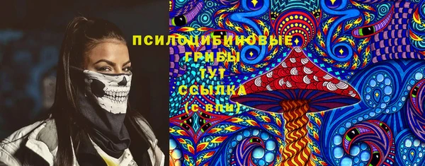 крисы Каменск-Шахтинский
