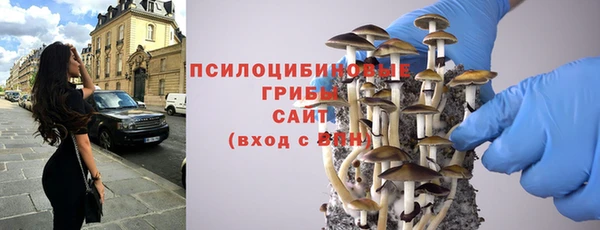 крисы Каменск-Шахтинский