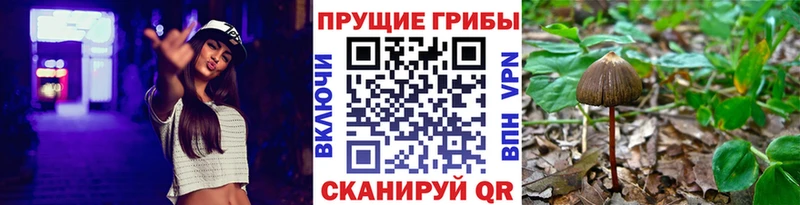 Галлюциногенные грибы MAGIC MUSHROOMS  Купить где  Кораблино 